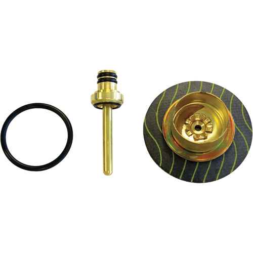 [BT431] Filter/Regulator - Relieving Diaphragm & Valve Assembly (BT431)