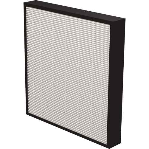 [EB496] Véritables filtres HEPA AeraMax(MD) Pro AM3 & AM4 2" (EB496)
