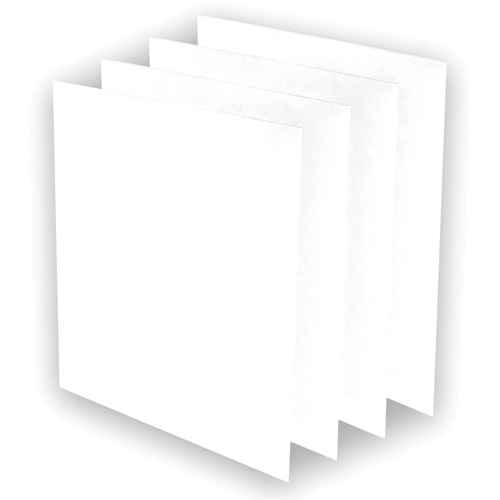 [EB499] Pré-filtres AeraMax(MD) Pro AM3 ou AM4 (EB499)
