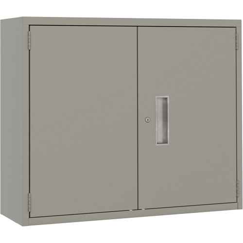 [FL781] Wall Mounted Cabinet (FL781)