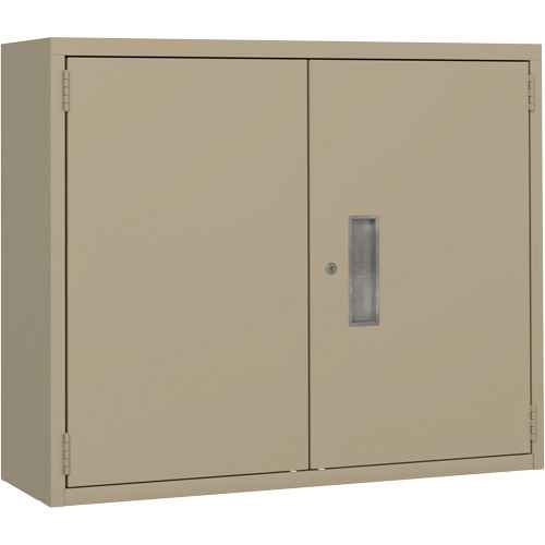 [FL782] Wall Mounted Cabinet (FL782)
