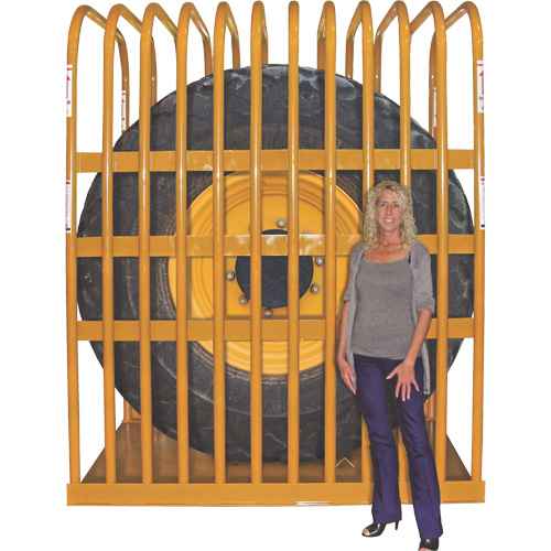 [FLT353] T112 12-Bar Earthmover Tire Inflation Cage (FLT353)