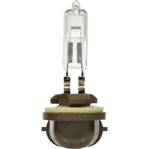 [FLT860] 886 Basic Fog Light Bulb (FLT860)