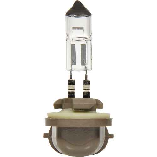 [FLT864] 896 Basic Fog Light Bulb (FLT864)