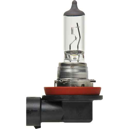 [FLT984] H8 Basic Headlight Bulb (FLT984)