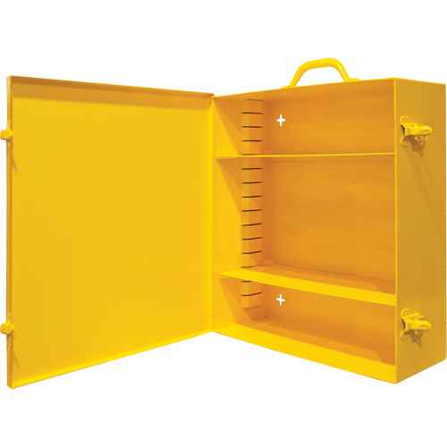 [FM009] Wall-Mounting Spill Control Cabinet (FM009)