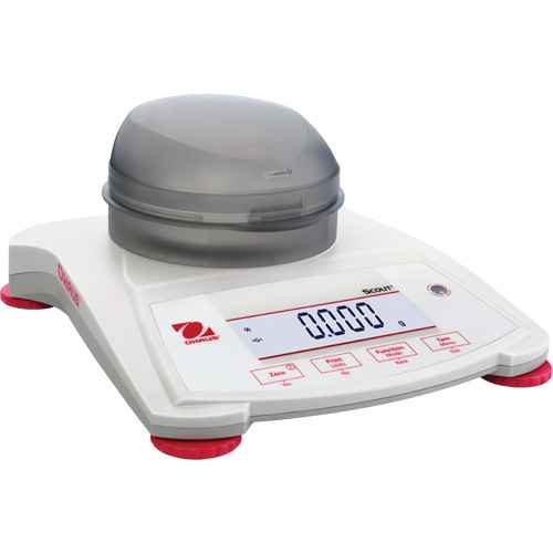 [ID481] ID481 (ID481)