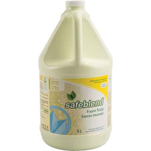 [JL719] Hand & Body Foam Soap (JL719)