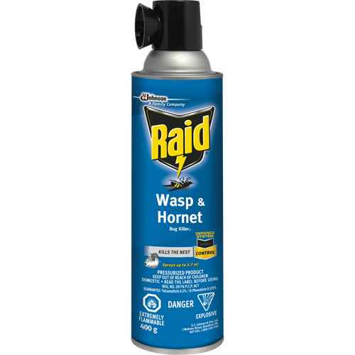 [JL959] Insecticide contre les guêpes et les frelons Raid(MD) (JL959)