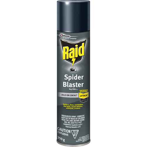 [JM255] Insecticide exterminateur d’araignées Raid(MD) (JM255)