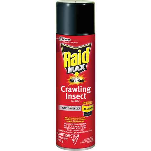 [JM268] Insecticide contre les insectes rampants Raid(MD) Max(MD) (JM268)