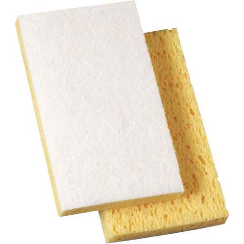 [JN436] Scotch-Brite™ Light Duty Scrub Sponge (JN436)