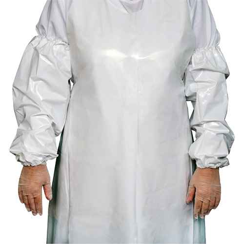 [JP443] Manchettes Top Dog (JP443)