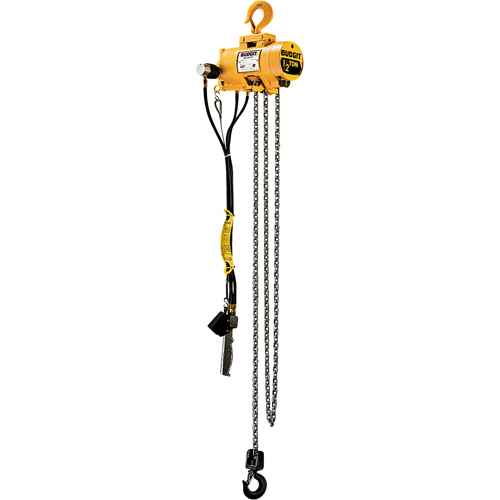 [LS918] Palans pneumatiques à chaîne Budgit(MD) (LS918)