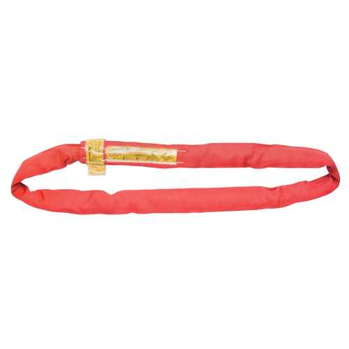 Polyester Round Sling (LW161)