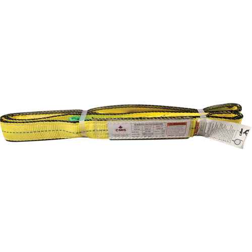 Polyester Web Sling (LW716)