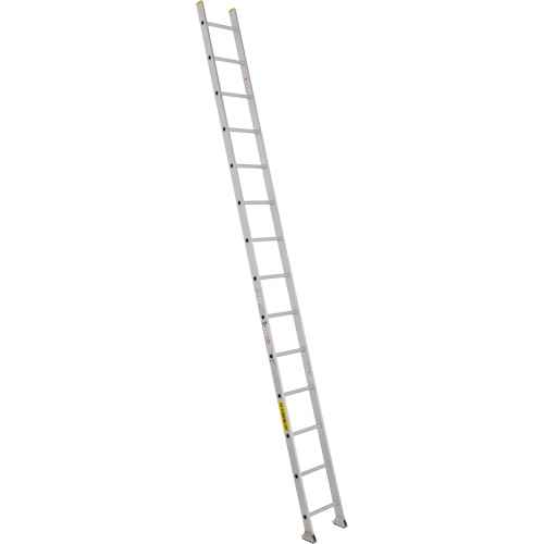 [MD509] Industrial Heavy-Duty Straight Ladders (MD509)