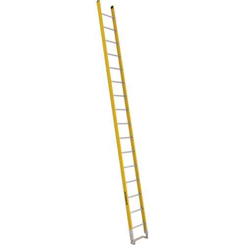 [MF384] Single Section Straight Ladder - 6100 Series (MF384)