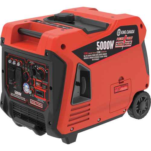 Dual Fuel Gasoline/Propane Inverter Generator (NAA174)