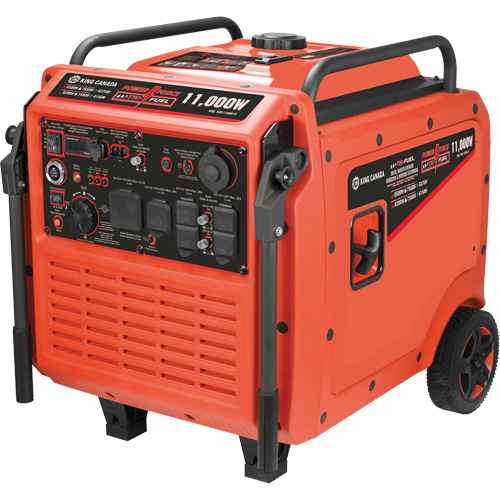 Tri-Fuel Inverter Generator (NAA237)