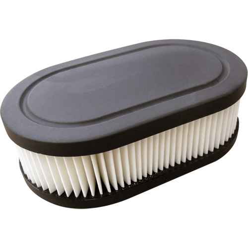 [NAA396] Cartouche-filtre ovale plissée pour purificateur d'air Briggs & Stratton (NAA396)