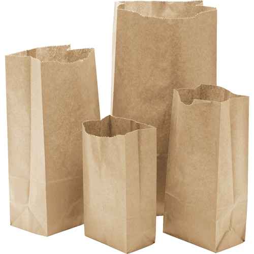 [NG405] Paper Bags #10 (NG405)