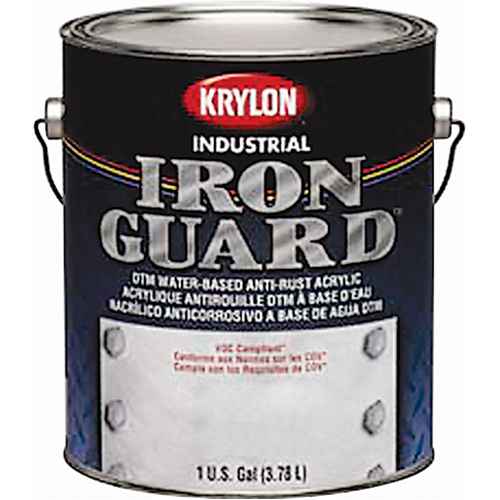 [NI819] Iron Guard® Water-Based Acrylic Enamel (NI819)