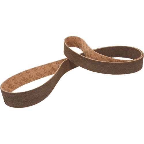 Scotch-Brite™ Surface Conditioning Belt (NU074)