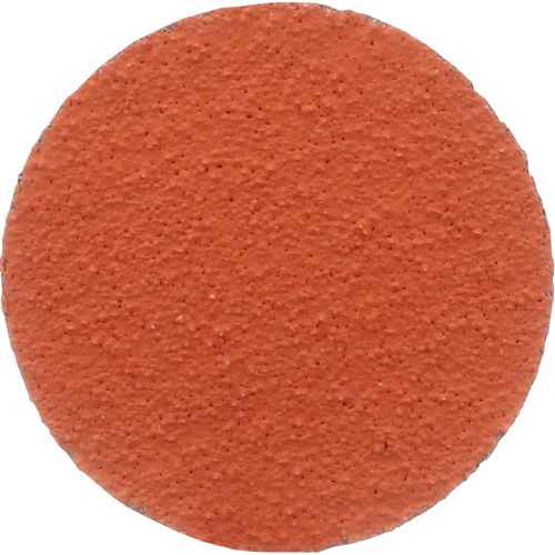 Roloc™ Disc 777F (NX886)