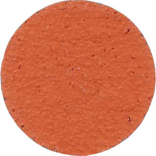 Roloc™ Disc 777F (NX892)