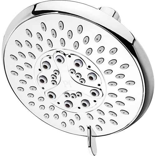 Multi-Function Showerhead (PUM004)