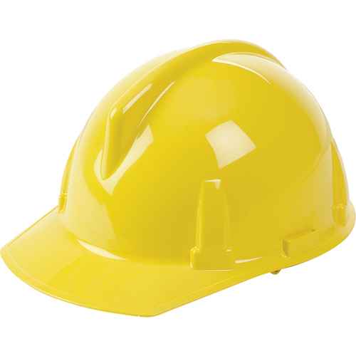 [SAG004] Casques de protection Topgard(MD) - Suspensions Fas-Trac(MD) (SAG004)