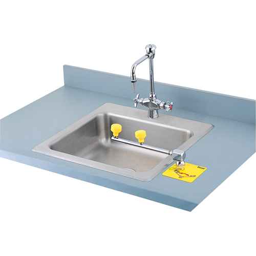 [SAK653] Poste de douche oculaire Swing-Away(MC) (SAK653)