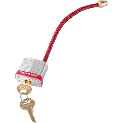 [SAL525] Switch Padlocks (SAL525)