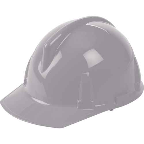 [SAM576] Casques de protection Topgard(MD) - Suspensions 1-Touch(MC) (SAM576)