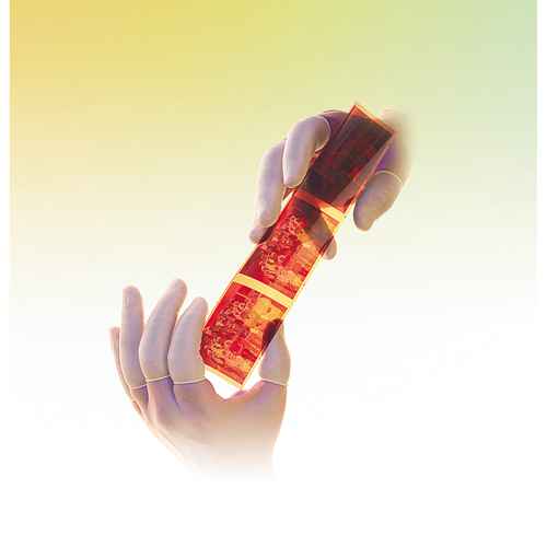 [SAM743] QRP® Powder-Free Qualatex Latex Finger Cots (SAM743)