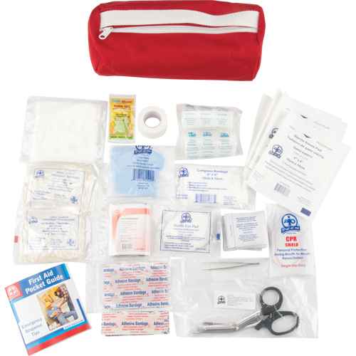 [SAP138] Trousse de premiers soins (SAP138)