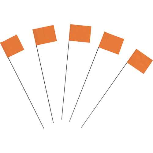 [SAQ792] Marking Flags (SAQ792)