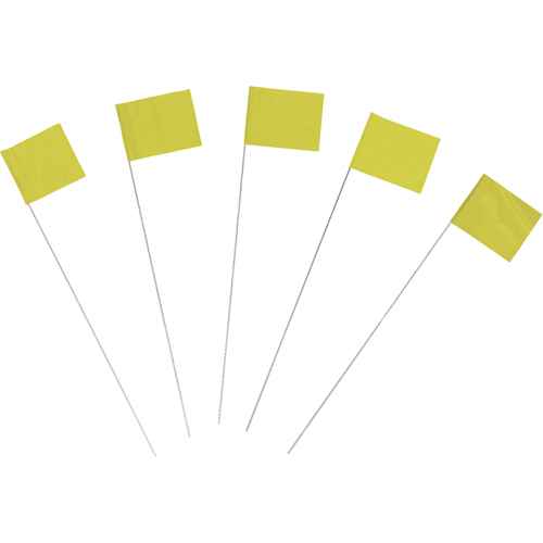 [SAQ796] Marking Flags (SAQ796)