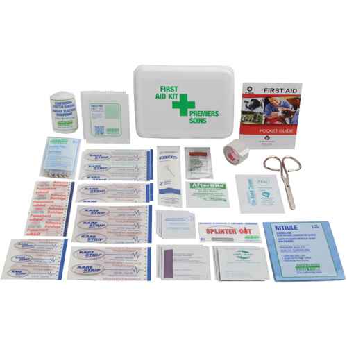 Trousses de premiers soins promotionnelles (SAY231)