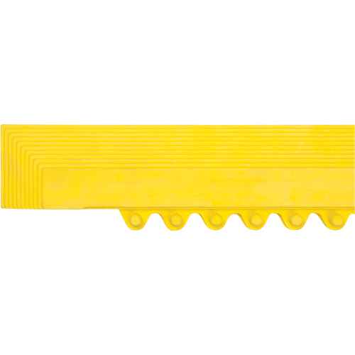 Rampe de bordure pour tapis (SDL869)