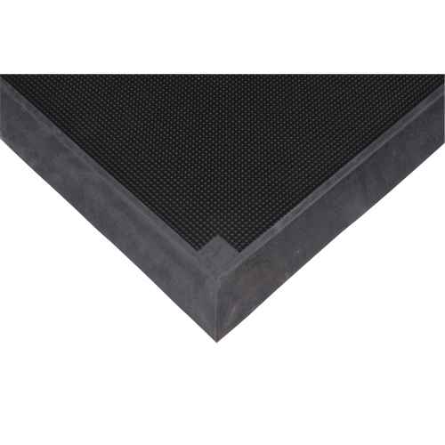 Tapis pour l'assainissement des chaussures (SDL873)