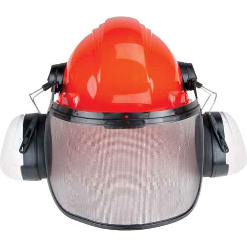Ensemble forestier North(MD) (SDM247)