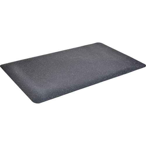 [SDP167] Tapis antimicrobiens WD(MC) Foodmaster (SDP167)