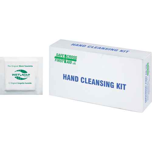 [SDS863] Hand Cleansing Moist Wipes (SDS863)
