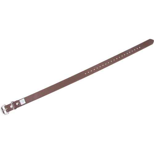 [SED945] Leg Straps (SED945)