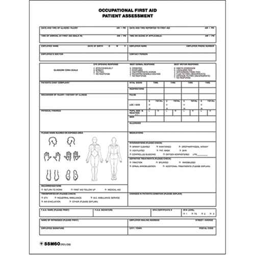 [SEE693] Patient Assessment Chart (SEE693)