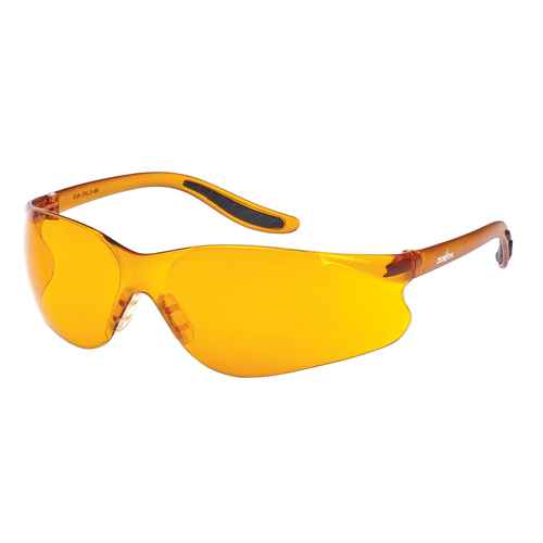 [SEE955] Z500 Series Safety Glasses (SEE955)