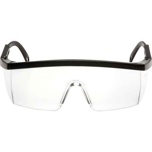 Lunettes de sécurité Integra(MC) (SFQ554)