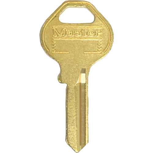 [SGI381] Padlock Master Key (SGI381)